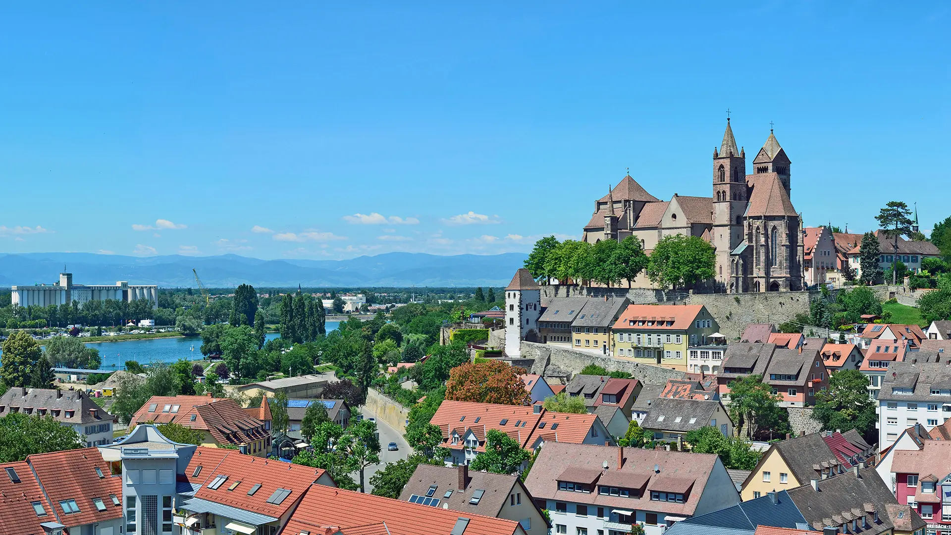 Breisacher Stephansmünster