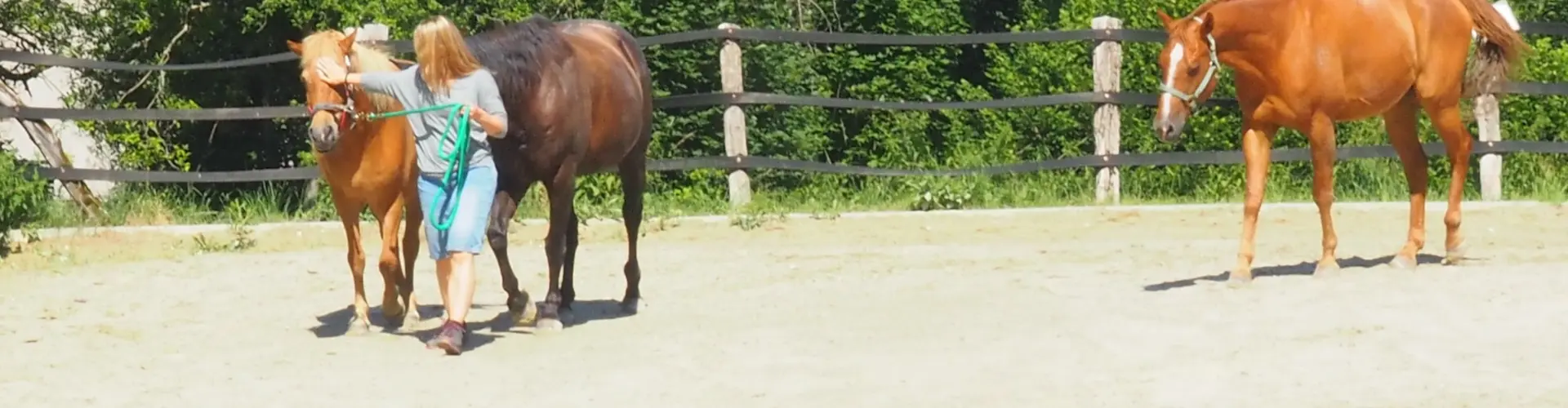 Eine Frau wird mit zwei Pferden gecoacht