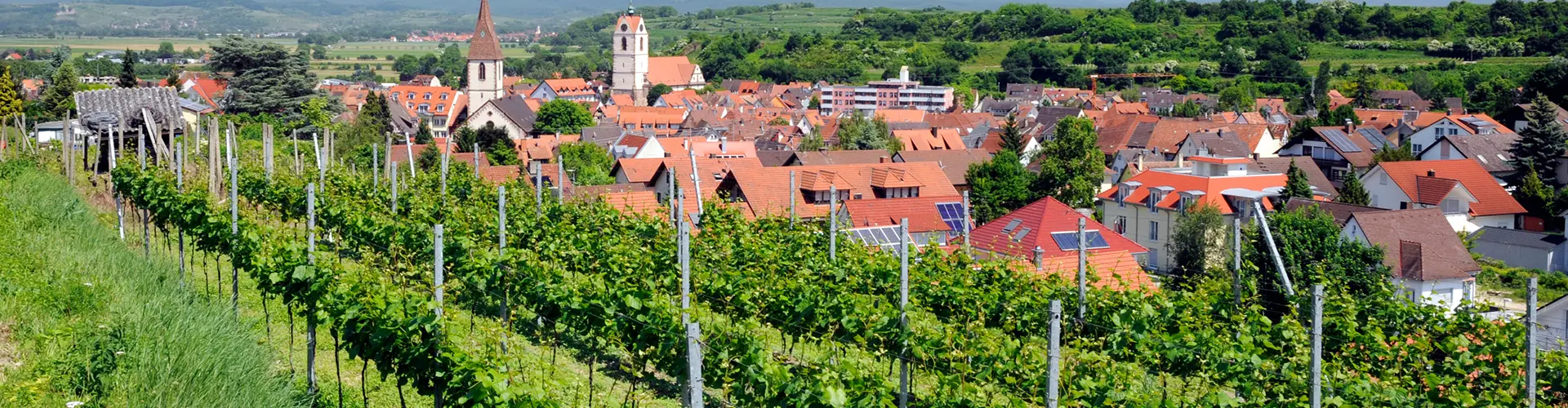 Endingen am Kaiserstuhl