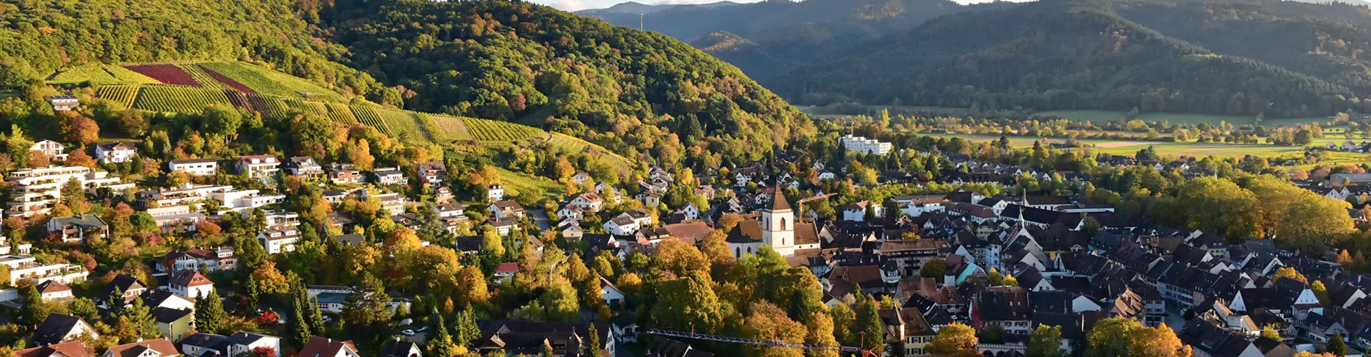 Staufen im Breisgau mit Blick über die Reben