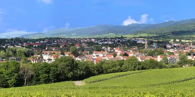 Panoramablick auf Müllheim, Baden