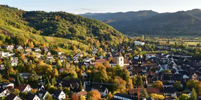 Staufen im Breisgau mit Blick über die Reben