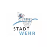 Bürgermeister/Bürgermeisterin (m/w/d)
