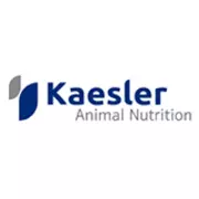 Head of Commercial Marketing (m/w/d)