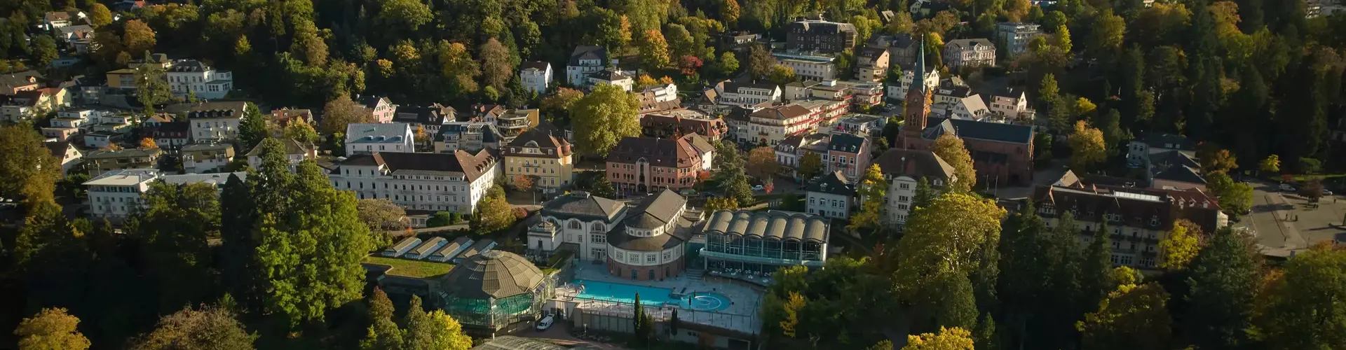 Gemeinde Badenweiler cover