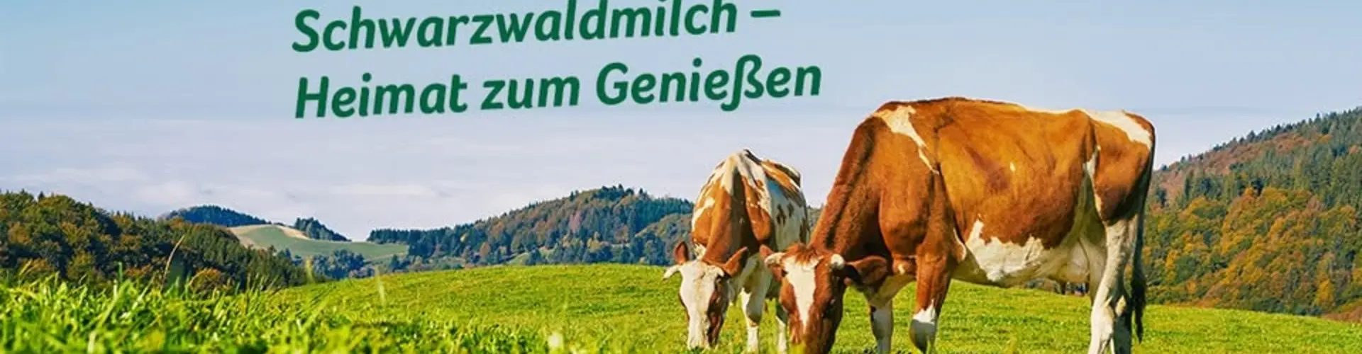 Schwarzwaldmilch GmbH Freiburg cover