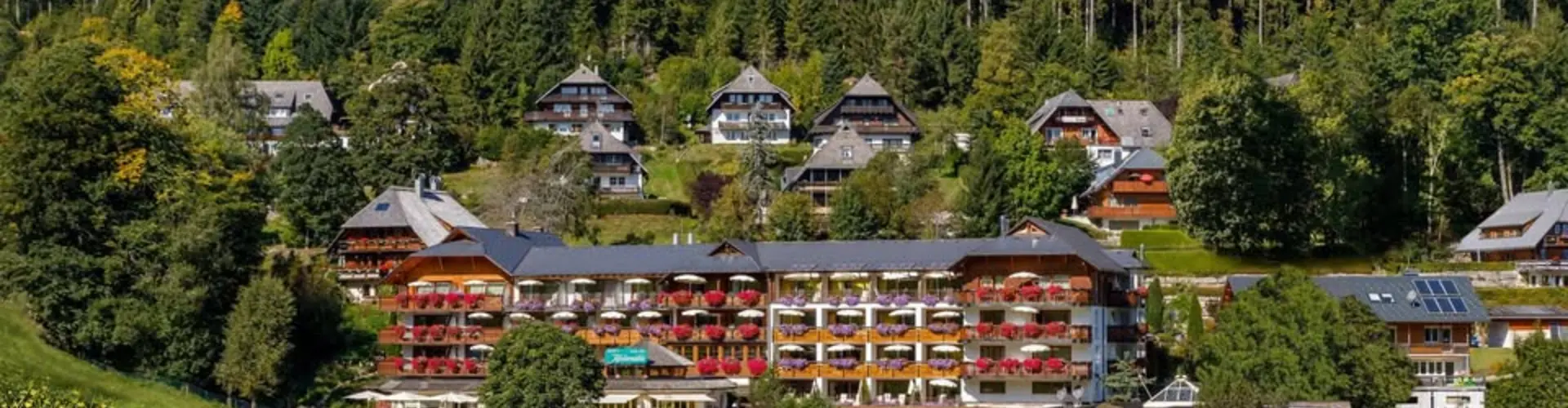 Hotel Kesslermühle GmbH cover