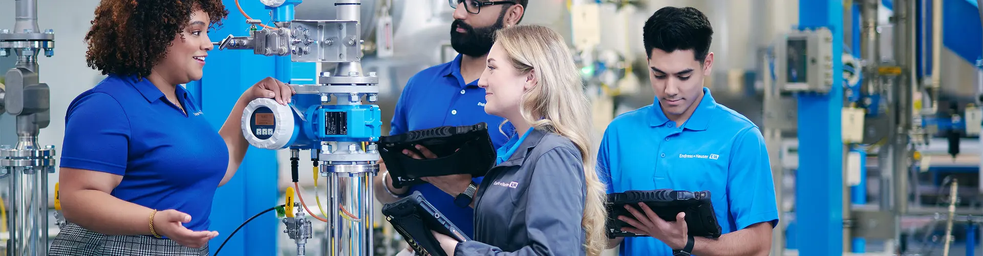 Endress und Hauser SE und Co. KG cover