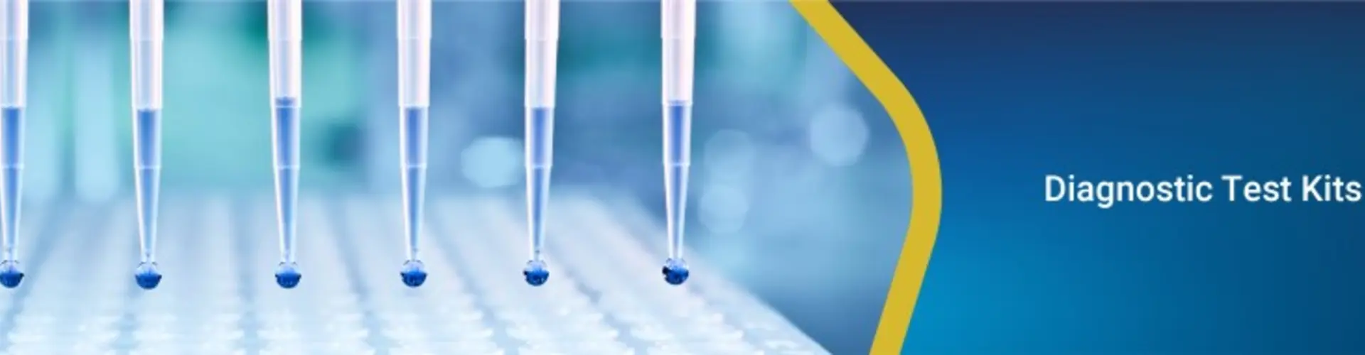 Gold Standard Diagnostics Freiburg GmbH cover