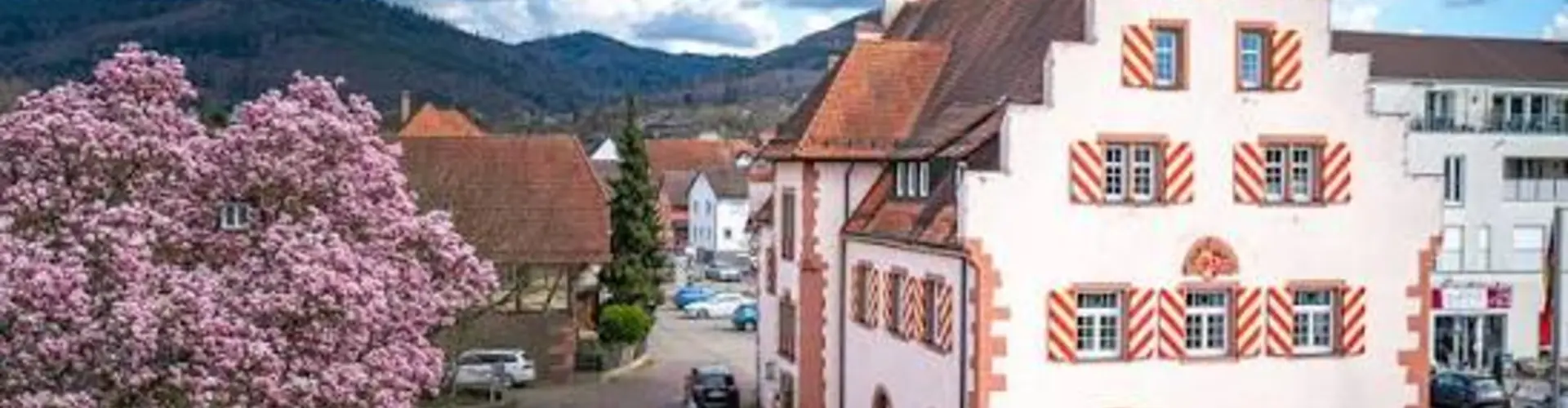 Gemeinde Friesenheim cover