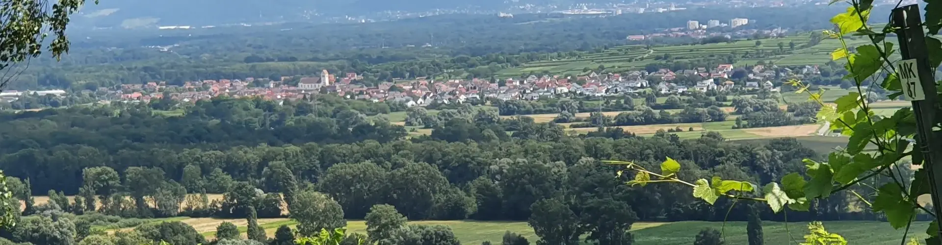 Gemeinde Gottenheim cover