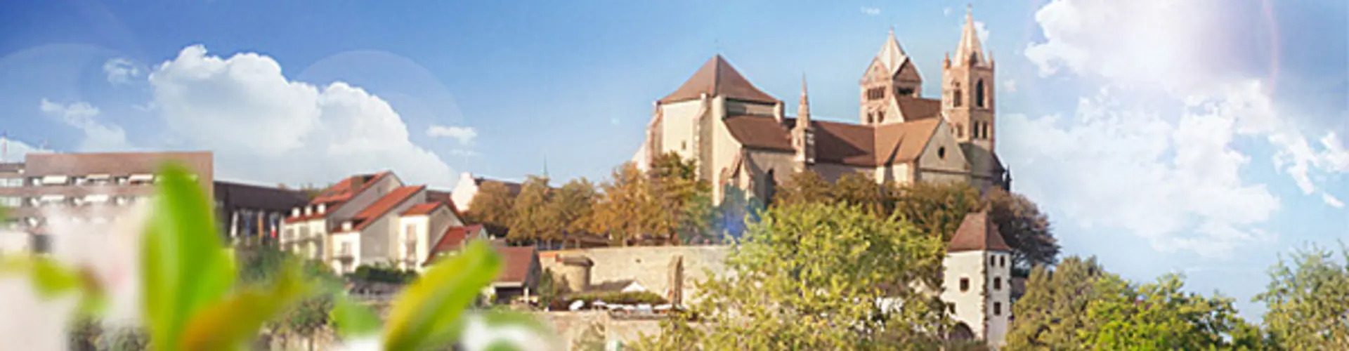 Stadt Breisach am Rhein cover