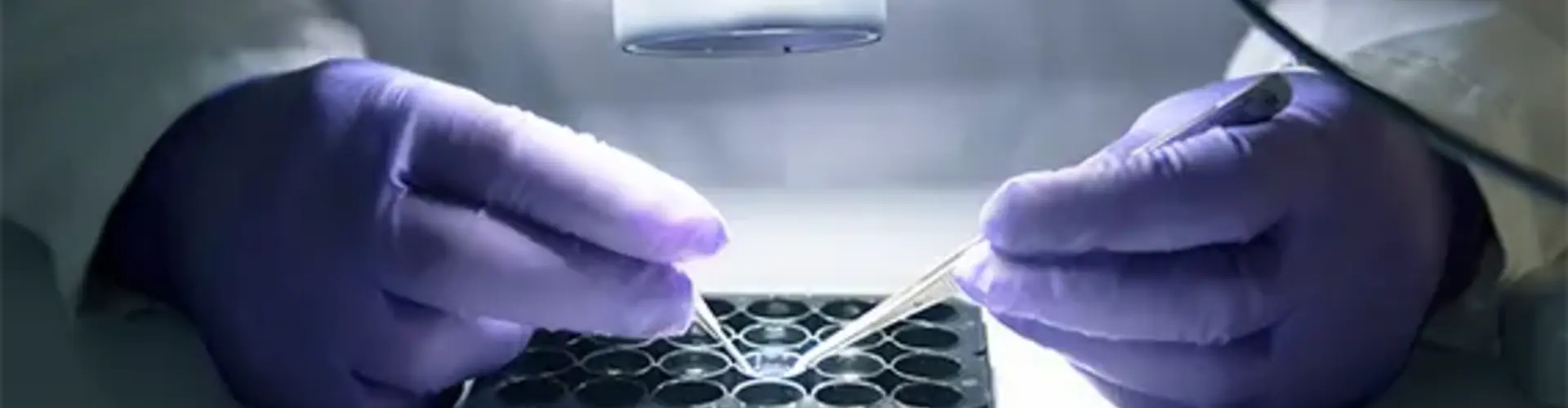 Novartis Pharma GmbH cover