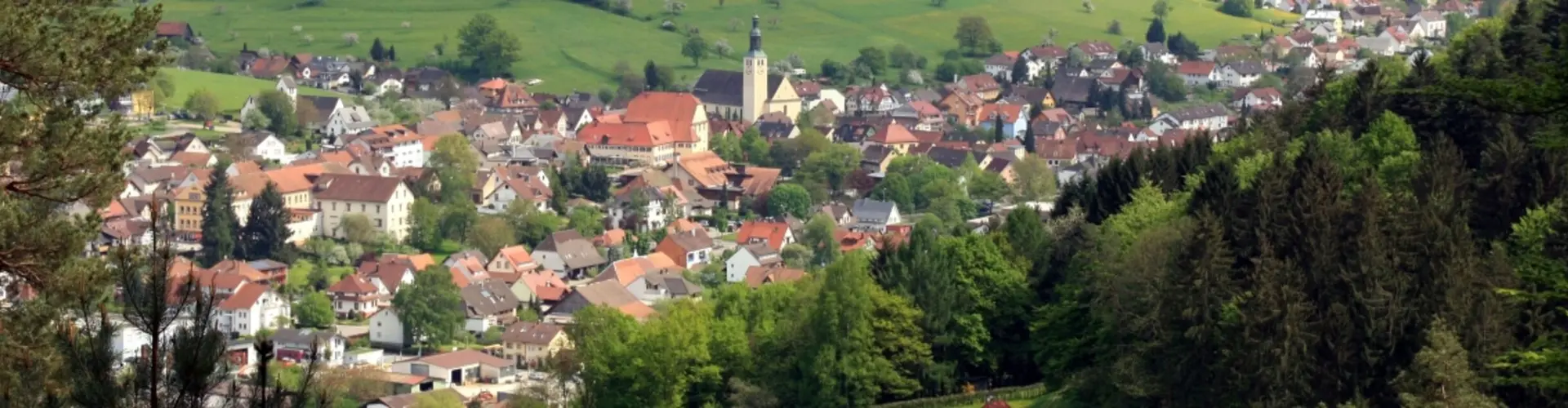 Gemeinde Seelbach cover