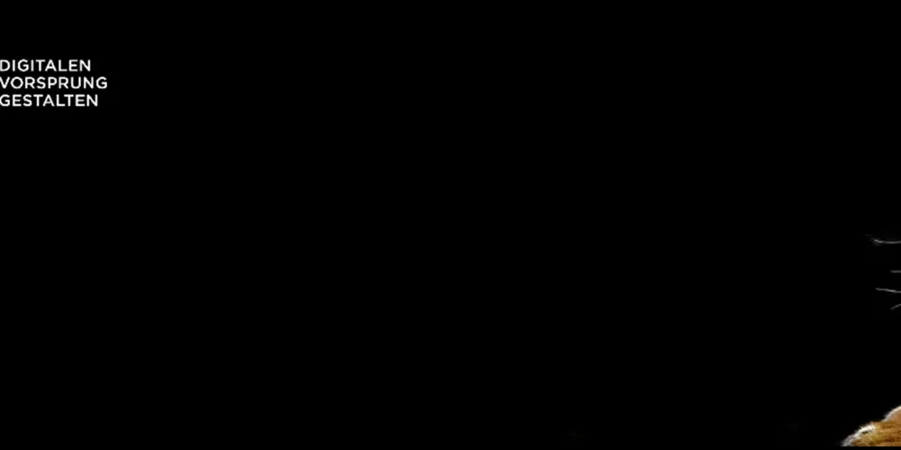 Adminox GmbH & Co. KG